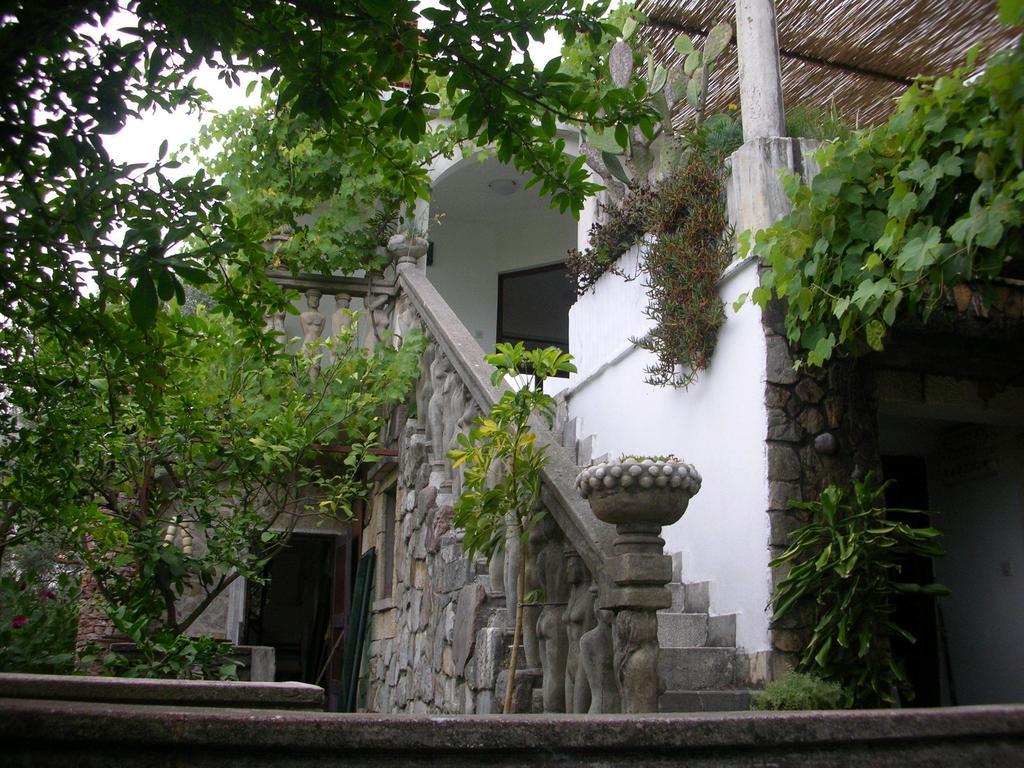Lero Apartments Budva Oda fotoğraf